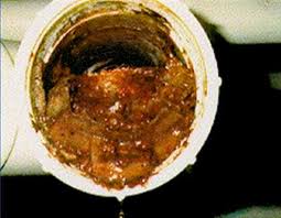 sewer drain cleaning clogged clog drains grease waste industrial pipe line clogs traps plumbing control sludge service water